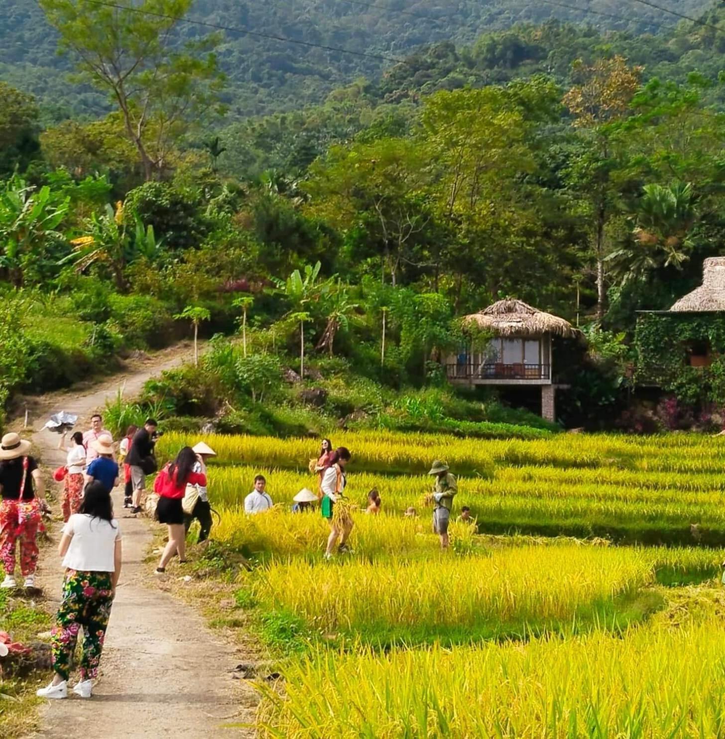 Pu Luong Happy Home Huong Ba Thuoc Esterno foto